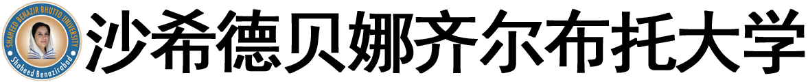 巴基斯坦沙希德・贝娜齐尔・布托大学logo